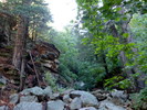 photo thumbnail #6