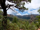 photo thumbnail #13