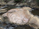 photo thumbnail #11