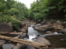 photo thumbnail #12