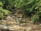 photo thumbnail #13