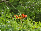 photo thumbnail #14