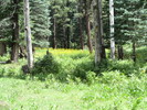 photo thumbnail #5