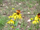 photo thumbnail #7
