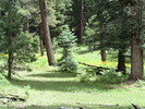 photo thumbnail #8