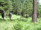photo thumbnail #11