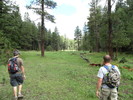 photo thumbnail #12