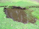 photo thumbnail #14