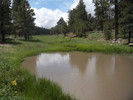 photo thumbnail #7