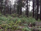 photo thumbnail #10