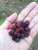 photo thumbnail #11