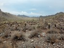 photo thumbnail #7