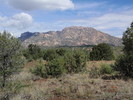 Featured Full Photo