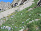 photo thumbnail #11