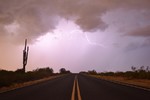 photo thumbnail #2