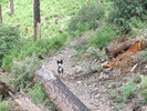 photo thumbnail #2