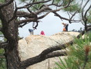 photo thumbnail #12
