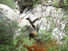 photo thumbnail #13
