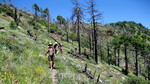photo thumbnail #11