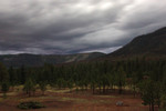 Featured Full Photo