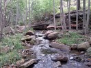 photo thumbnail #12