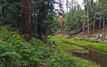 photo thumbnail #4
