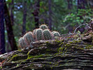 photo thumbnail #10