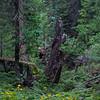 photo thumbnail #12