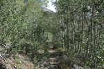 photo thumbnail #9