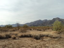photo thumbnail #1
