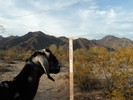 2013-07-22 :3: Rainbow Valley :: Outlander