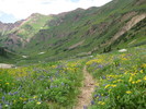photo thumbnail #4