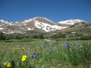 photo thumbnail #2