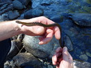 photo thumbnail #9