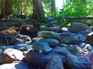 photo thumbnail #12