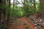 photo thumbnail #9