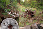 photo thumbnail #10