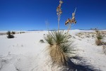 photo thumbnail #14
