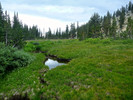 photo thumbnail #7
