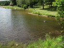 photo thumbnail #2