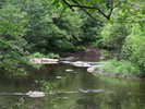 photo thumbnail #9