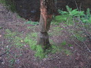 photo thumbnail #10