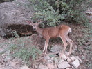 photo thumbnail #1