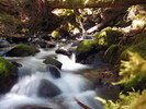 photo thumbnail #1