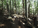 photo thumbnail #3