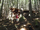 photo thumbnail #4