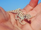 photo thumbnail #3
