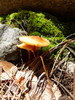 photo thumbnail #6