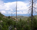 photo thumbnail #8