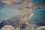 Featured Detail Photo